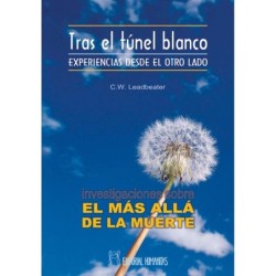 portada del libro Investigaciones sobre el mas alla de la muerte